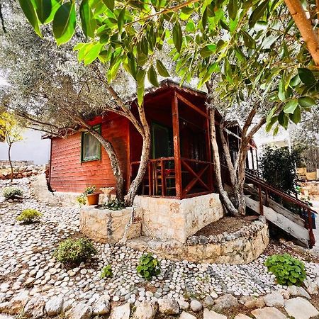 Bed and Breakfast Ata Bungalow Kaş Zewnętrze zdjęcie