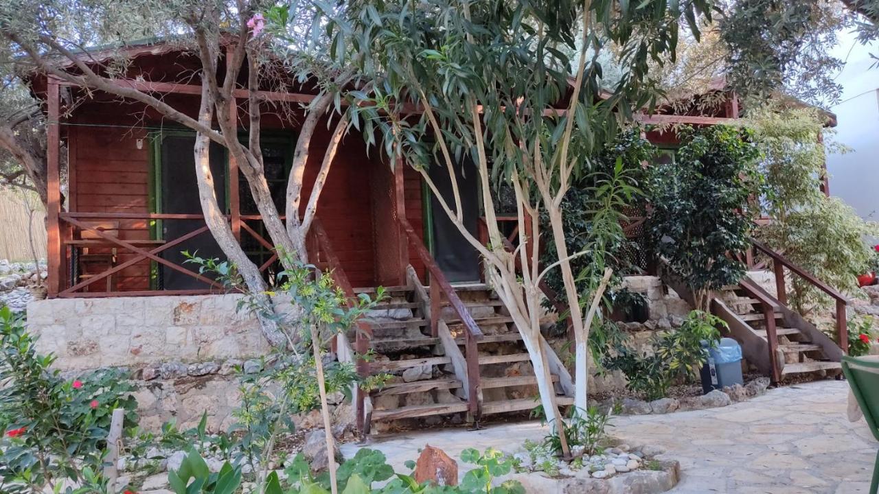 Bed and Breakfast Ata Bungalow Kaş Zewnętrze zdjęcie